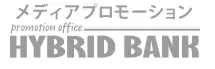 HYBRID BANK