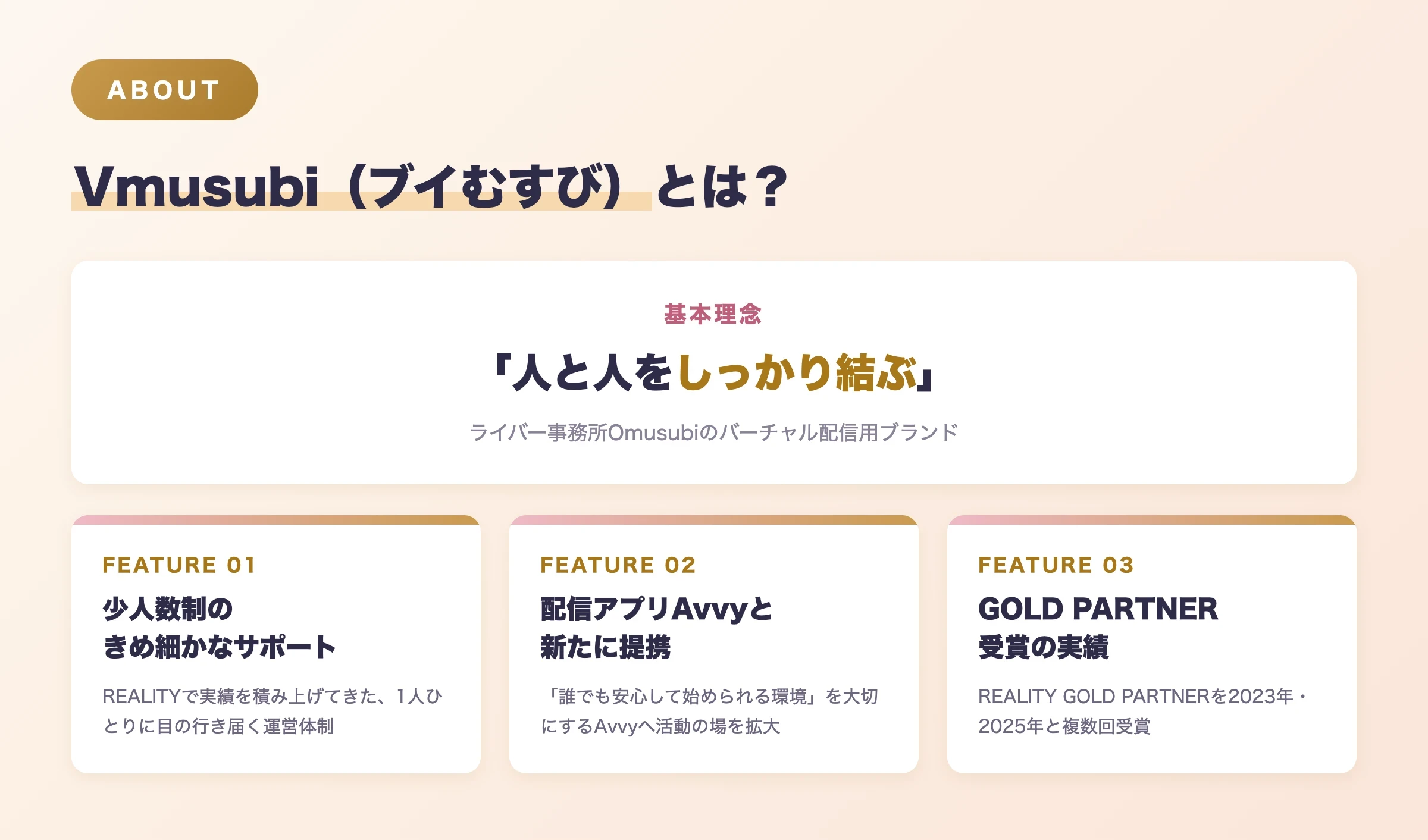 Vmusubi（ブイむすび）とは？基本理念と3つの特徴